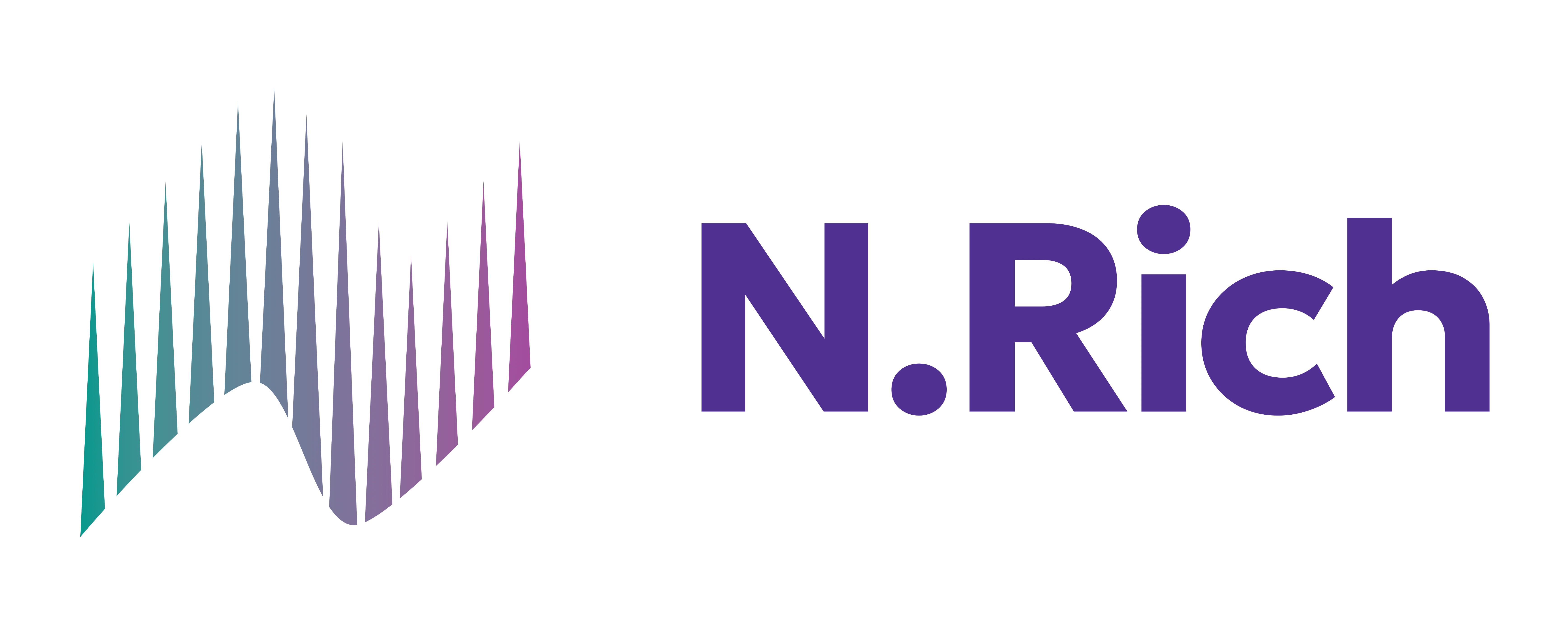 NRich_CMYK